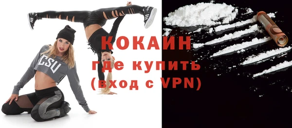 таблы Новозыбков
