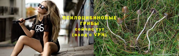 меф Нягань