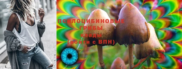 скорость Няндома